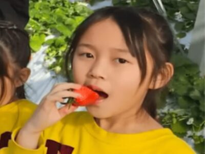 柚都 美奈子 子供 家系図